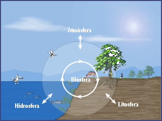 La Biosfera está en equiibrio con la Tierra sólida y la Tierra fluida. Adaptada de www.ucar.edu