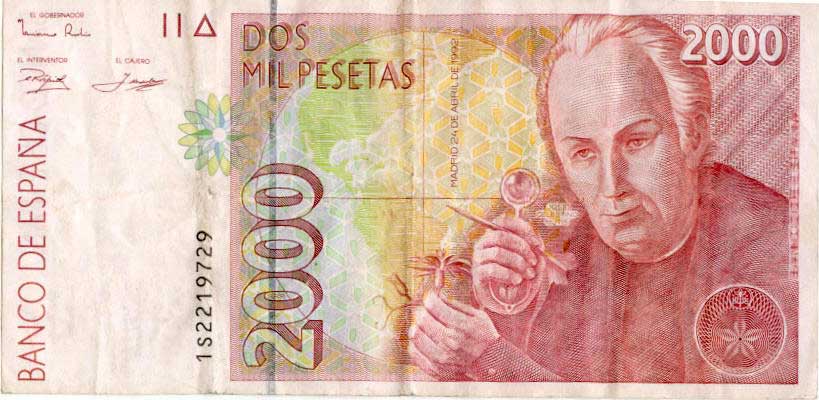 Imagen: De Mier y Leva.