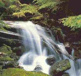 Agua limpia