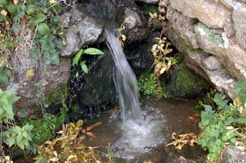 Agua en estado líquido, manantial.