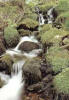 Alto Tajo