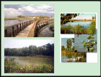 "Medio ambiente de agua dulce"