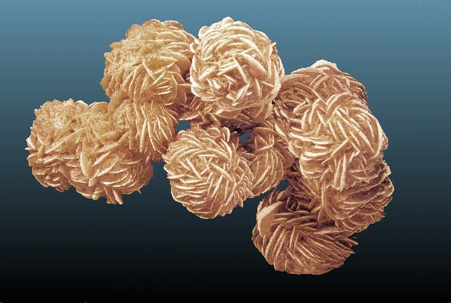 Yeso (rosa del desierto)