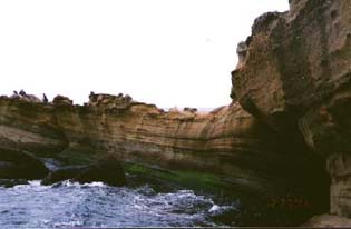 Procesos sedimentarios