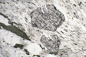 Minerales en una roca metamórfica crecidos a partir de componentes liberados en la matriz.