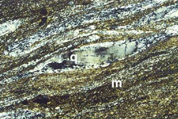 Milonita al microscopio. Los granos de cuarzo crecen alargados en planos paralelos al movimiento