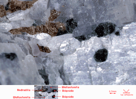 Minerales de un yacimiento de Skarn. Departamento de Edafología de la Universidad de Granada