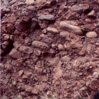Conglomerado