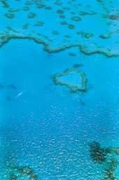 Isla barrera-Lagoon