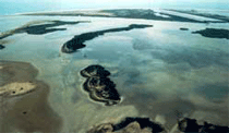 Delta del Ebro
