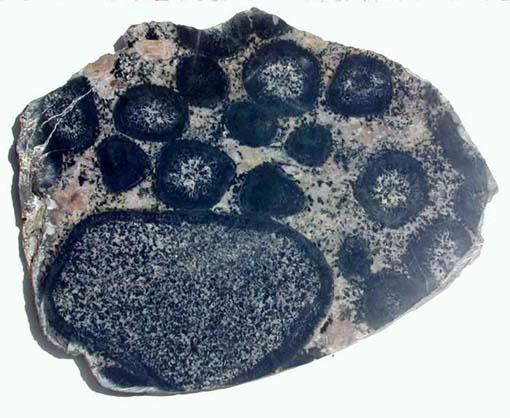 Imagen tomada de http://www2.sernageomin.cl/museo_final/images/Rocas%20Intrusivas/pages/Granito%20Orbicular05%20SNGMP2_JPG.htm