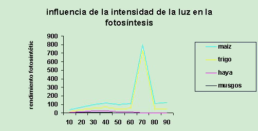 "Influencia de la intensidad de luz en la fotosíntesis"