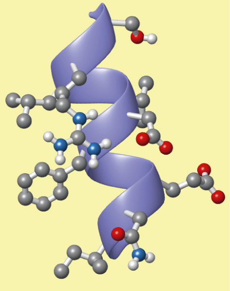 Imagen de http://cwx.prenhall.com/horton/medialib/media_portfolio/04.html