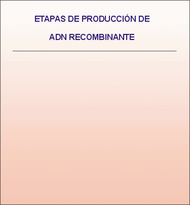 Resumen de las etapas para recombinar el ADN. Animación: De Mier y Leva