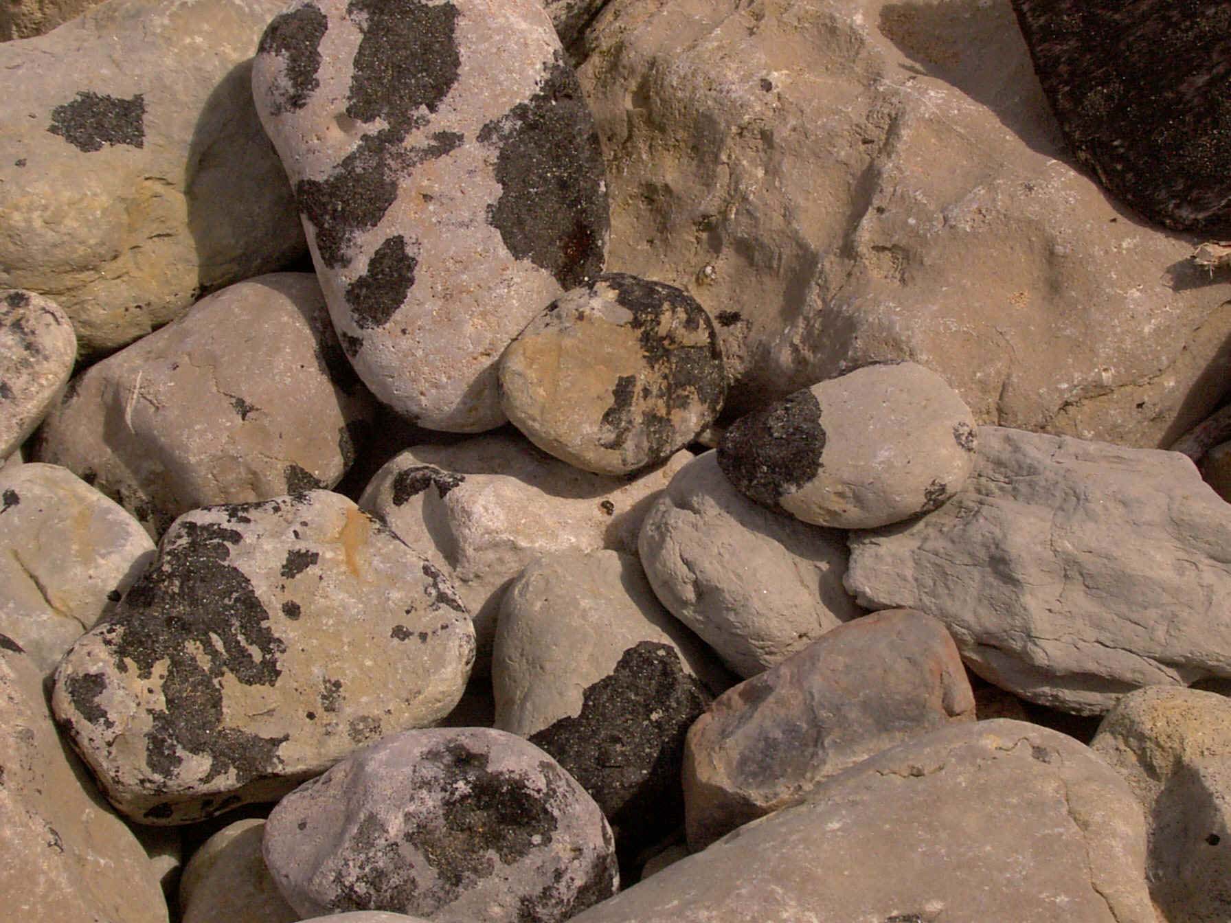 Piedras en la costa, manchadas por vertidos de petróleo en el mar. Imagen: De Mier y Leva