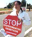 La manipulación genética es una de las ramas de la ciencia que mayor polémica desatan. Tomada de www.greenpeace.es