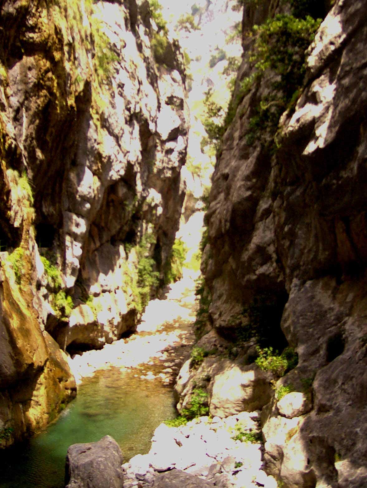 Cañón del río Cares. Imagen: De Mier y Leva.