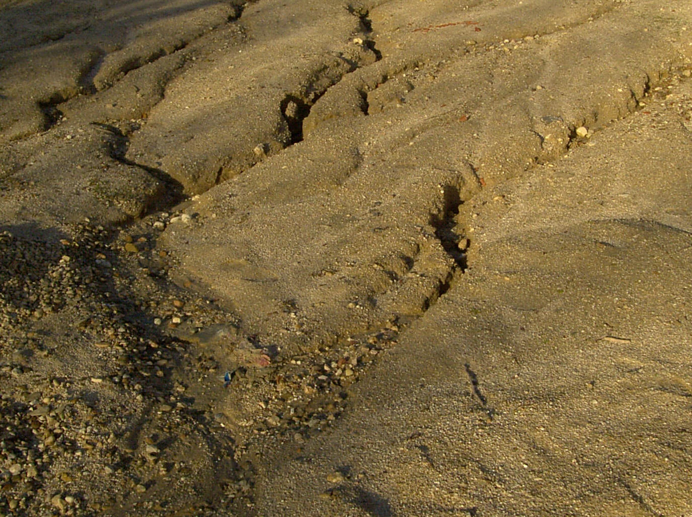 Suelo desprovisto de vegetación y erosionado por aguas salvajes. Imagen: De Mier y Leva.