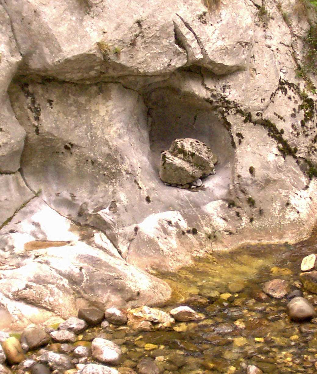 Marmita de gigante. Imagen: De Mier y Leva