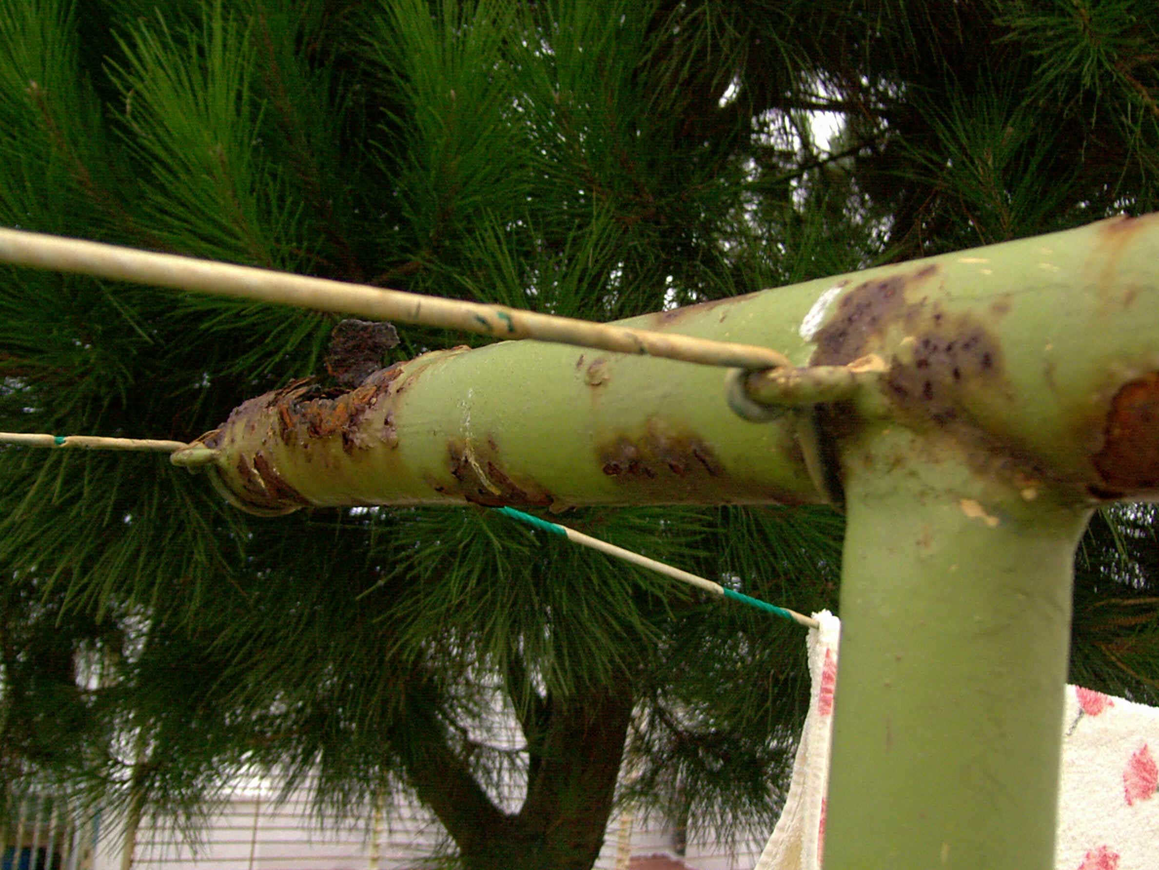 Tubos oxidados. Imagen: De Mier y Leva.