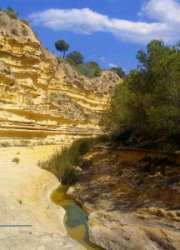Cauce con agua