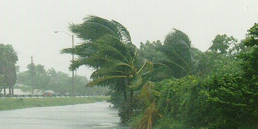 El viento se origina por los movimientos de aire con distinta temperatura
