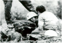 Investigación