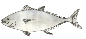 Pescado