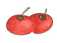 Tomates