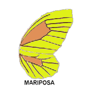 Ala de mariposa