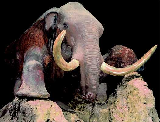"Mamut congelado recuperado en Siberia. Tomada de www.creationscience.com"