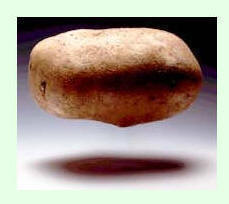 Fotografía de una patata como ejemplo de alimento rico en glúcidos.