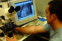 Becario observando una preparación microscópica en un monitor.