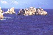 img042c.jpg (4300 bytes)