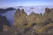 img057ct.jpg (5055 bytes)