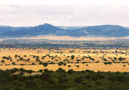 Paisaje de Cabañeros.
